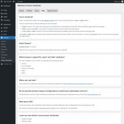 Page screenshot: Settings &rarr; Async JavaScript &rarr; Help