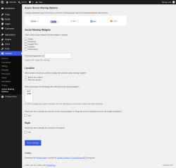Page screenshot: Settings &rarr; Async Sharing Options