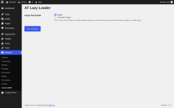 Page screenshot: Settings &rarr; Lazy Loader