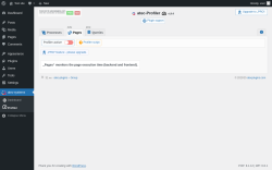 Page screenshot: atec-systems →  Profiler →  Pages