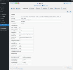 Page screenshot: atec-systems → System Info →  Environment