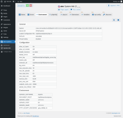 Page screenshot: atec-systems → System Info →  Environment