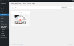 Page screenshot: Twenty Seventeen Install Demos ‹ Test site — WordPress