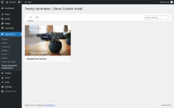 Page screenshot: Appearance → Twenty Seventeen Install Demos