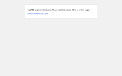 Page screenshot: WordPress &rsaquo; Error