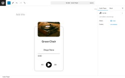 Page screenshot: Audio Player → Add New Player