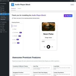 Page screenshot: Audio Player → Player Demo