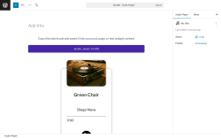 Page screenshot: Audio Player → Add New Player