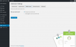 Page screenshot: Authorizer → Public Access