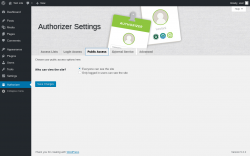 Page screenshot: Authorizer → Public Access