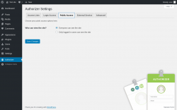 Page screenshot: Authorizer → Public Access