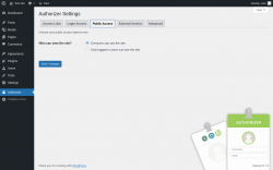 Page screenshot: Authorizer → Public Access