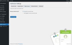 Page screenshot: Authorizer → Public Access