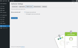 Page screenshot: Authorizer → Public Access