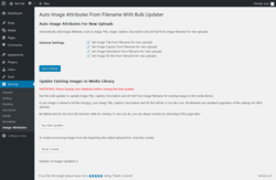 Page screenshot: Settings → Image Attributes