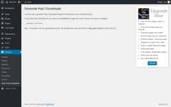 Page screenshot: Settings &rarr; Auto Post Thumbnail