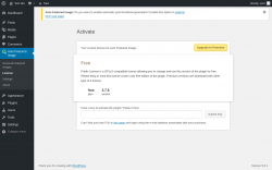 Page screenshot: Auto Featured Image &rarr; License