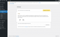 Page screenshot: Auto Featured Image &rarr; License