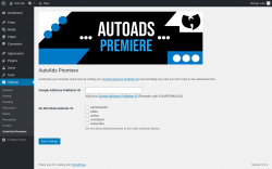 Page screenshot: Settings &rarr; AutoAds Premiere
