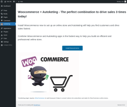 Page screenshot: Autoketing