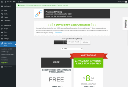 Page screenshot: Auto Links for SEO → Upgrade  ➤