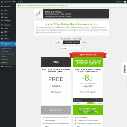 Page screenshot: Auto Links for SEO → Upgrade  ➤