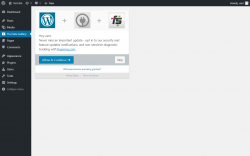 Page screenshot: Automatic YouTube Gallery ‹ Test site — WordPress