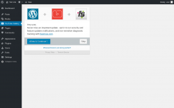 Page screenshot: Automatic YouTube Gallery ‹ Test site — WordPress