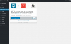 Page screenshot: Automatic YouTube Gallery ‹ Test site — WordPress