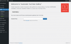 Page screenshot: YouTube Gallery