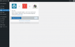 Page screenshot: Automatic YouTube Gallery ‹ Test site — WordPress