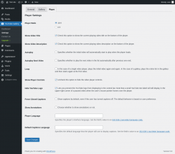 Page screenshot: YouTube Gallery → Settings → Player