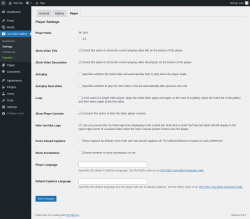 Page screenshot: YouTube Gallery → Settings → Player