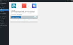 Page screenshot: Automatic YouTube Gallery ‹ Test site — WordPress
