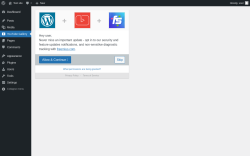Page screenshot: Automatic YouTube Gallery ‹ Test site — WordPress