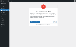 Page screenshot: Automatic YouTube Gallery ‹ Test site — WordPress