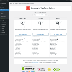 Page screenshot: YouTube Gallery → Upgrade  ➤