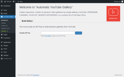 Page screenshot: YouTube Gallery