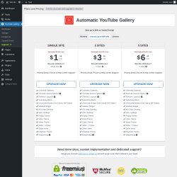 Page screenshot: YouTube Gallery → Upgrade  ➤