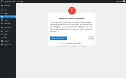 Page screenshot: Automatic YouTube Gallery ‹ Test site — WordPress