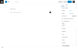 Page screenshot: Add New Post ‹ Test site — WordPress