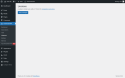 Page screenshot: AutomatorWP → Licenses