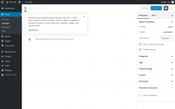 Page screenshot: Add New Post &lsaquo; Test site &mdash; WordPress