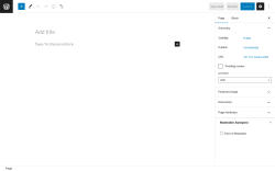 Page screenshot: Add New Page &lsaquo; Test site &mdash; WordPress