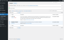 Page screenshot: Plugins &lsaquo; Test site &mdash; WordPress