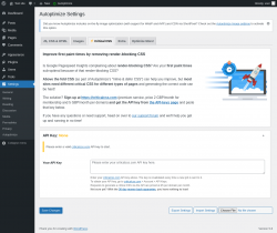 Page screenshot: Settings &rarr; Autoptimize &rarr;  Critical CSS