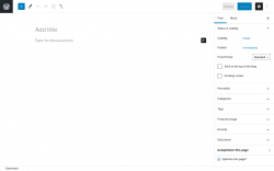 Page screenshot: Add New Post &lsaquo; Test site &mdash; WordPress