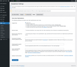 Page screenshot: Settings &rarr; Autoptimize &rarr; Extra