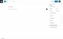 Page screenshot: Add New Page &lsaquo; Test site &mdash; WordPress