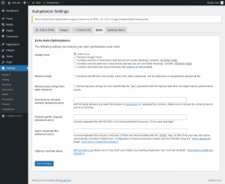 Page screenshot: Settings &rarr; Autoptimize &rarr; Extra